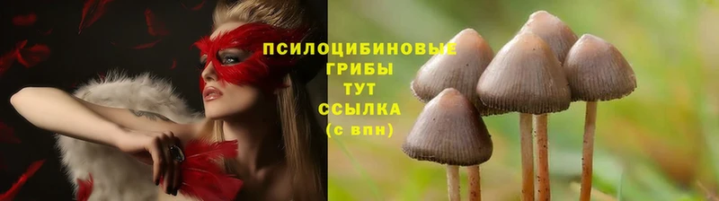 Псилоцибиновые грибы Magic Shrooms  blacksprut как зайти  Нягань 